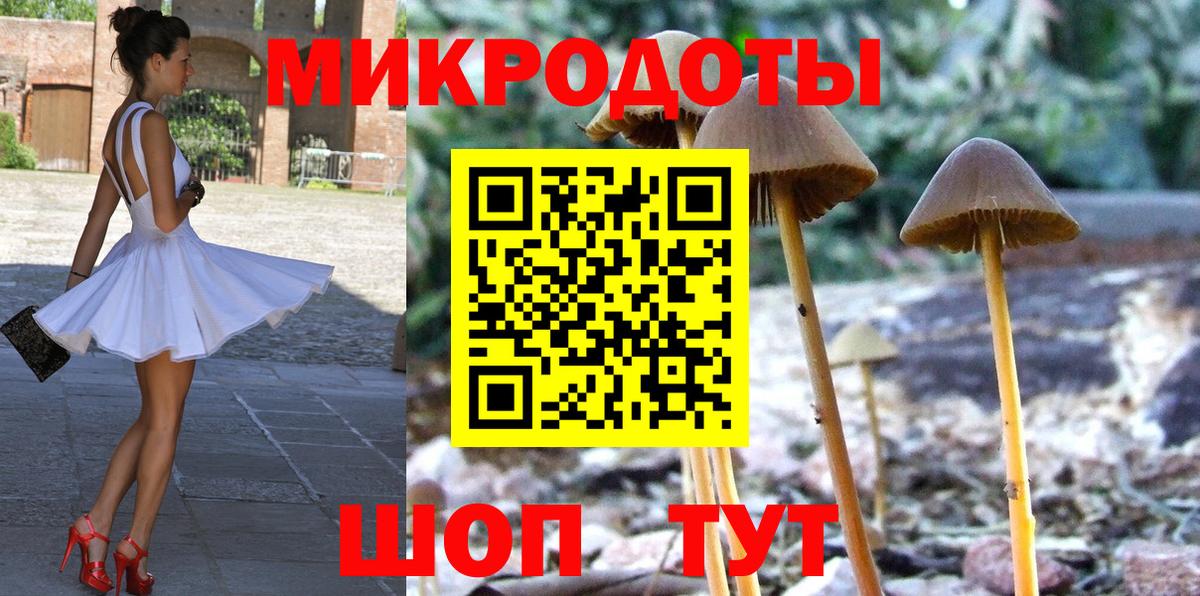 Псилоцибиновые грибы Psilocybe Симферополь