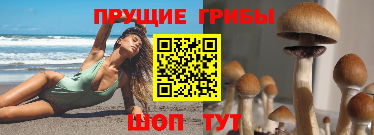 Галлюциногенные грибы мицелий  Вход с VPN  Псилоцибиновые грибы мицелий  Симферополь 
